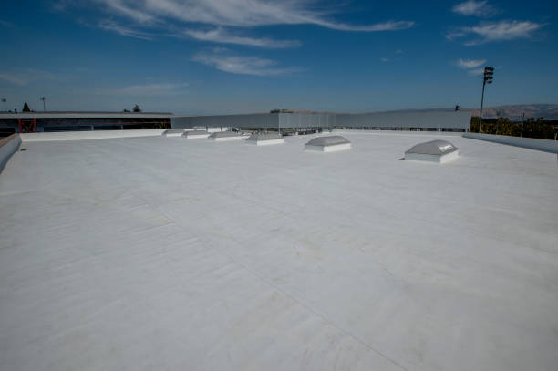 Roof Coating Services in Lakeport, CA