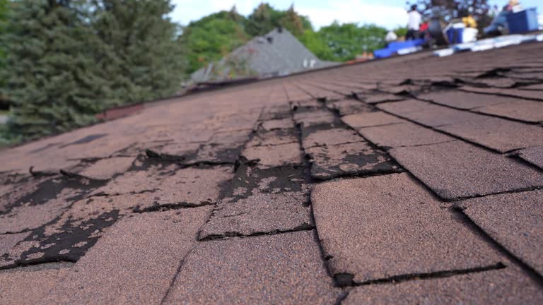 Best Roof Maintenance and Cleaning  in Lakeport, CA