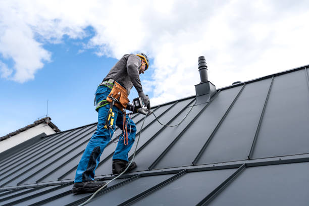 Best Roof Moss and Algae Removal  in Lakeport, CA